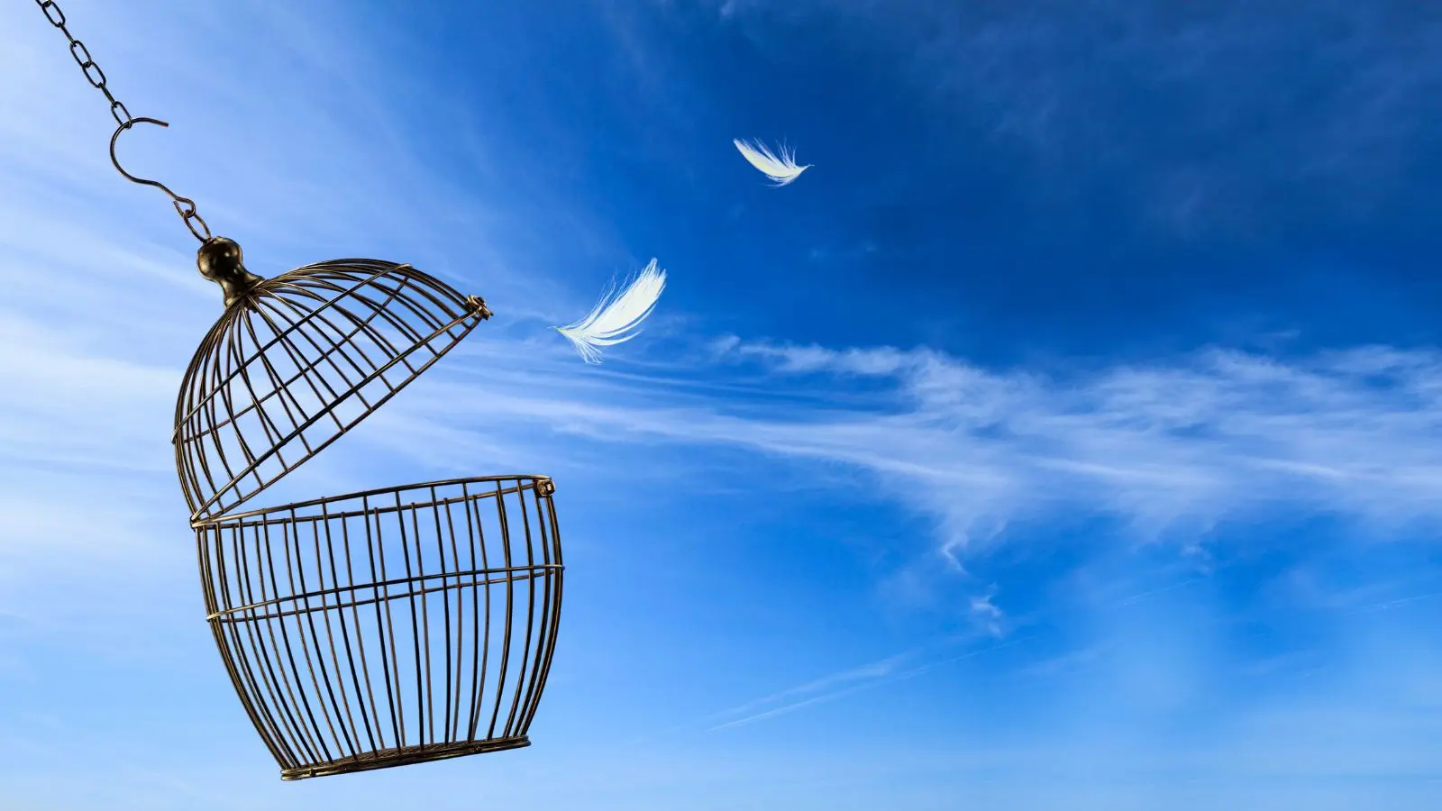 Scenariul de viață ilustrat printr-o colivie deschisă și pene în zbor – simbol al libertății interioare.